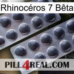 Rhinocéros 7 Bêta 31